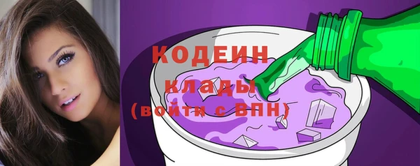 стаф Вязьма