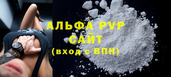 стаф Вязьма
