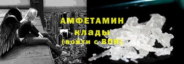 стаф Вязьма