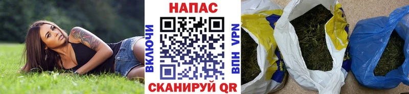 Конопля семена  Купить где  Кондопога 